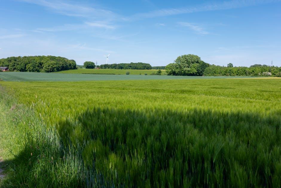 Future Trends: ⁤Sustainable Practices and Consumer Awareness