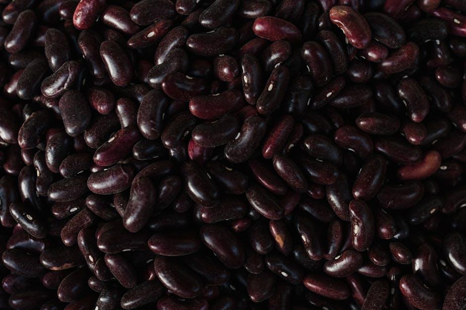 Understanding Macronutrient Ratios: Tailoring Your Protein Intake for Ketosis