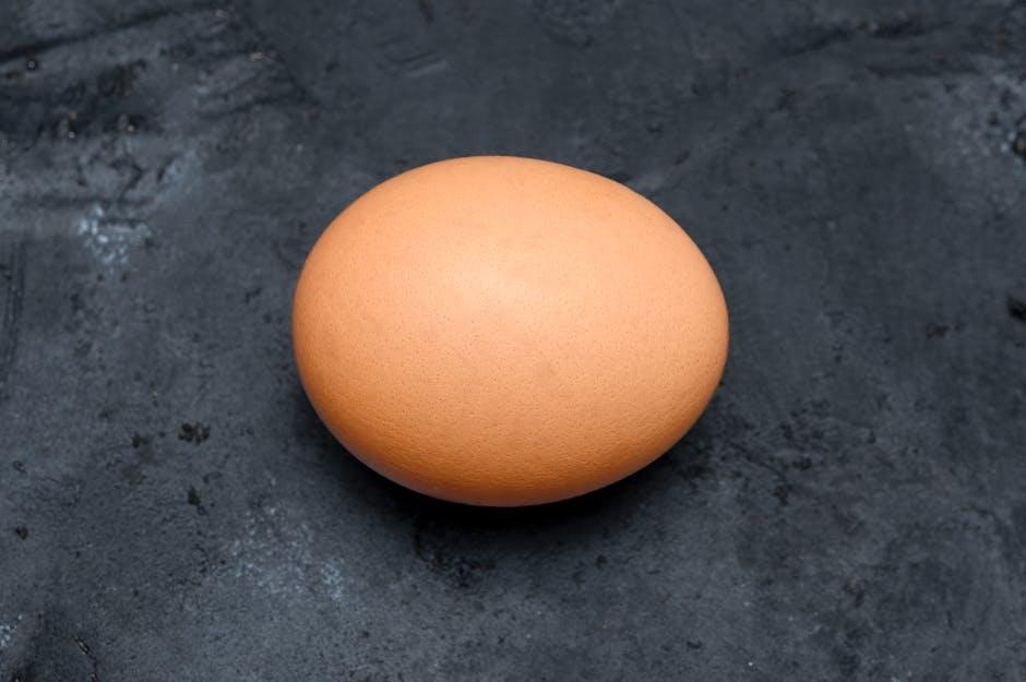 Flavor⁢ Meets Function: A ⁣Guide to the Best Orgain Organic Protein Blends