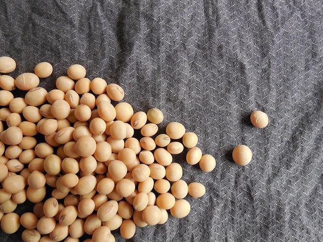 Nutritional Benefits: Fueling Your Body with Plant-Based ⁢Goodness