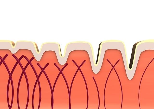The Science ⁣Behind‍ Collagen​ Peptides for Muscle ⁢Recovery
