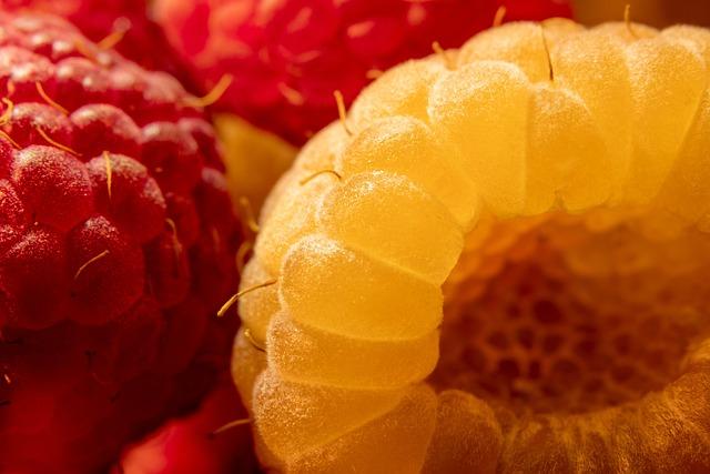 Exploring the Unique ⁤Flavor Profile of Raspberry Ripple