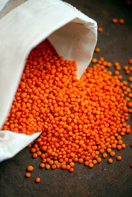 Top Vegan Creatine Sources: Evaluating Quality and Effectiveness