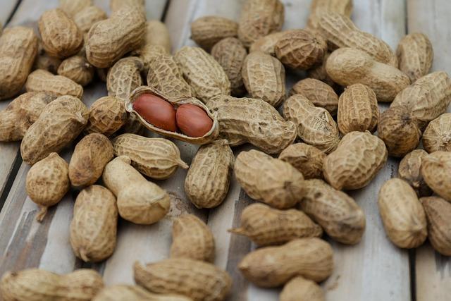 Maximizing Results: Tips for Incorporating​ Recovery Protein into Your Routine